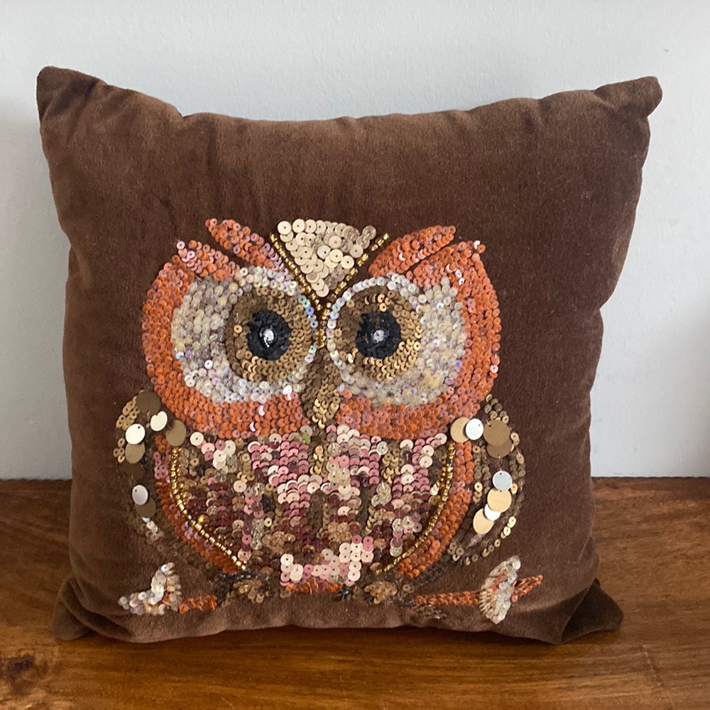 NEW. Pier 1 Pillow with Owl. 🦉 - Picture 5 of 16